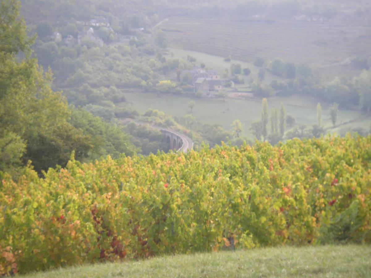 Maison Isolee Dans Les Vignes Et Les Bois Valady 外观 照片