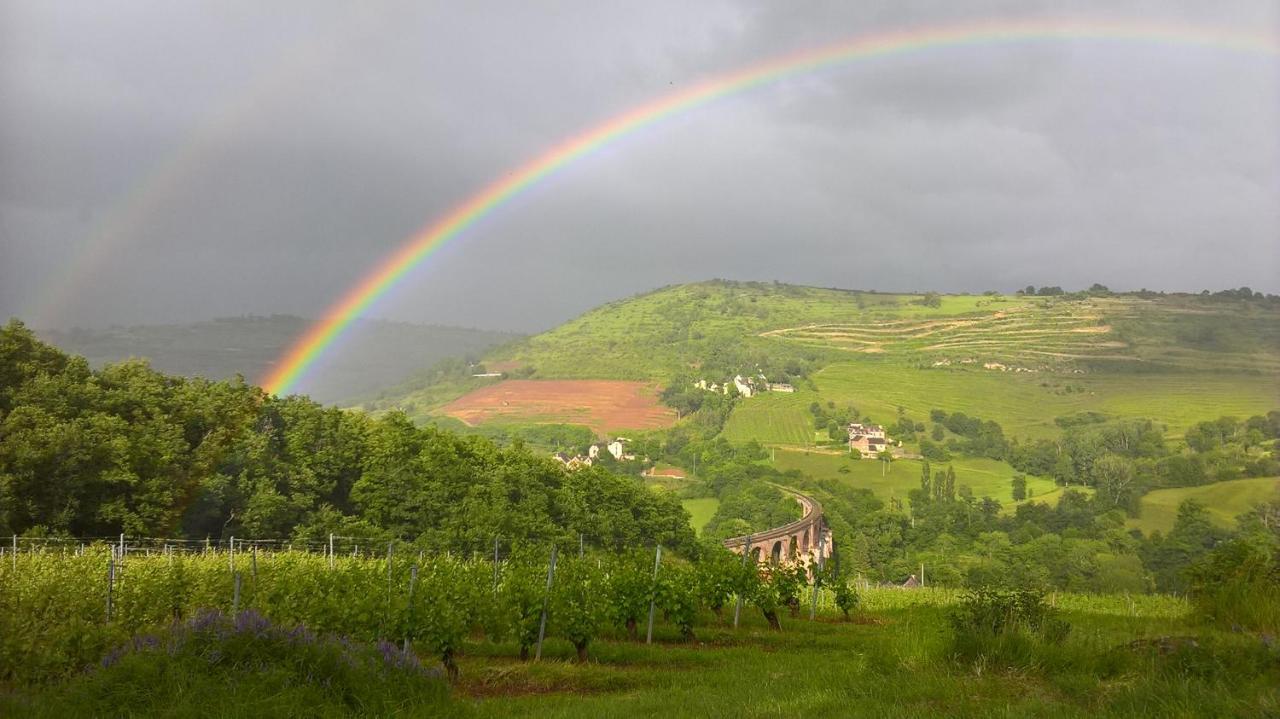Maison Isolee Dans Les Vignes Et Les Bois Valady 外观 照片